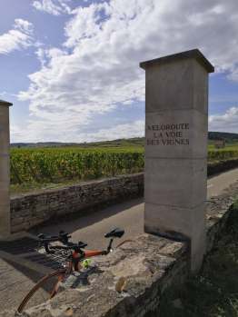 73170233_569635816909251_7858429896882651136_n